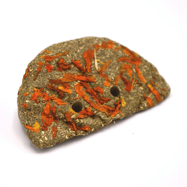 Oxbow Enriched Life - High - Fiber Timothy Orange Slice Treat for Pets