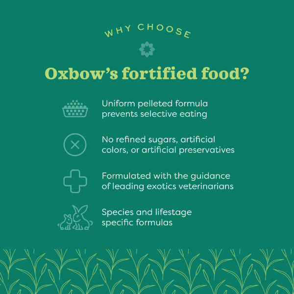 Oxbow Garden Select High - Quality Adult Guinea Pig Food