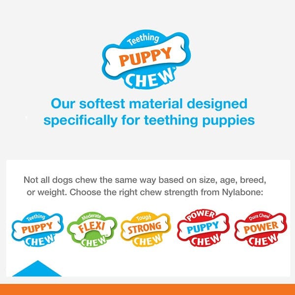 Nylabone Flexible Puppy Chew Toy for Teething and Soothing with Dental Benefits