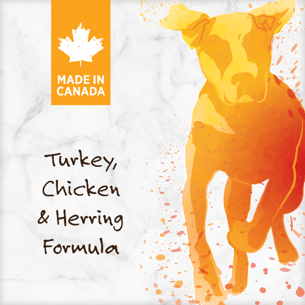Nutrience 10kg Grain-Free Dog Food with Turkey, Chicken & Herring