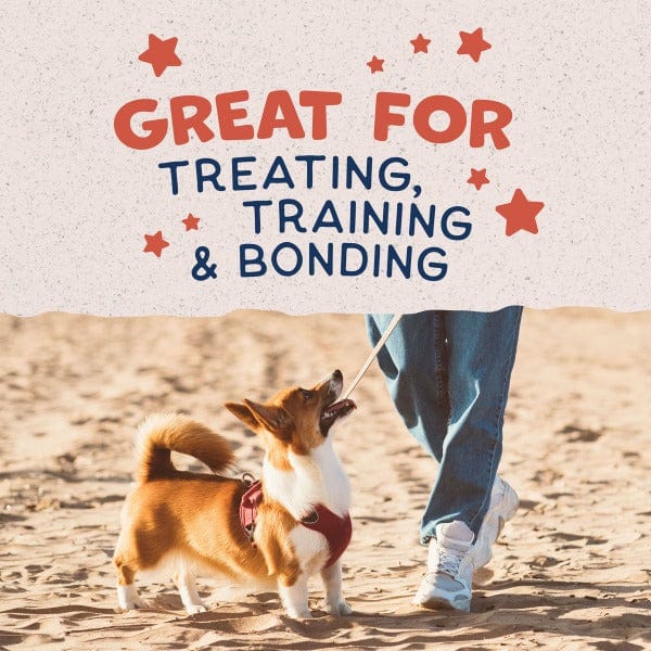 Natural Balance Small Breed Dog Treats - Crunchy Biscuits Featuring Real Salmon, 8 Ounce Package