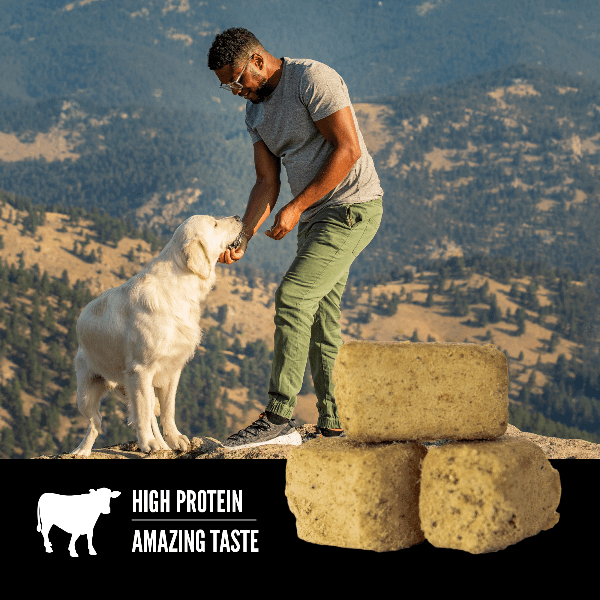 Orijen High - Quality Freeze - Dried Dog Treats with Beef Recipe