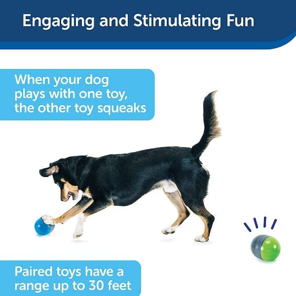 PetSafe Brand Ricochet Electronic Interactive Dog Toy Set