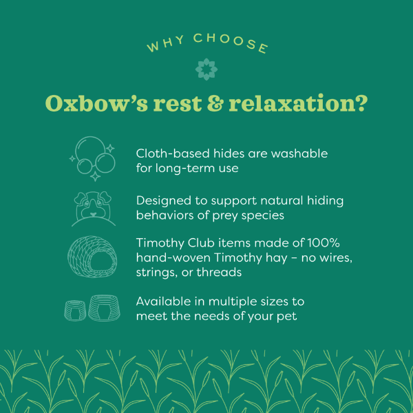 Oxbow Enriched Life Honeycomb Hammock - Ideal Pet Comfort and Enrichment Accessory