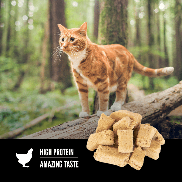 Orijen Brand Original Style Freeze - Dried Treats for Cats