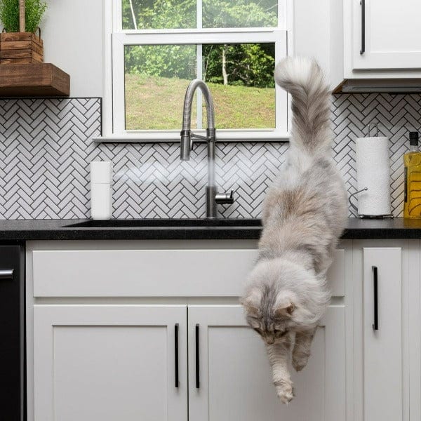 PetSafe SSSCAT Automatic Spray Device for Deterring Pets