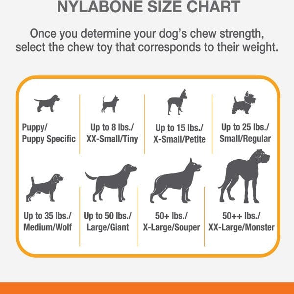 Nylabone Puppy Teething Chew Toy with Double - Action and Bacon Flavor