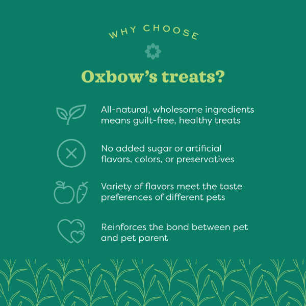 Oxbow's Carrot & Dill Baked Treats - High - Fiber Snack for Small Pets
