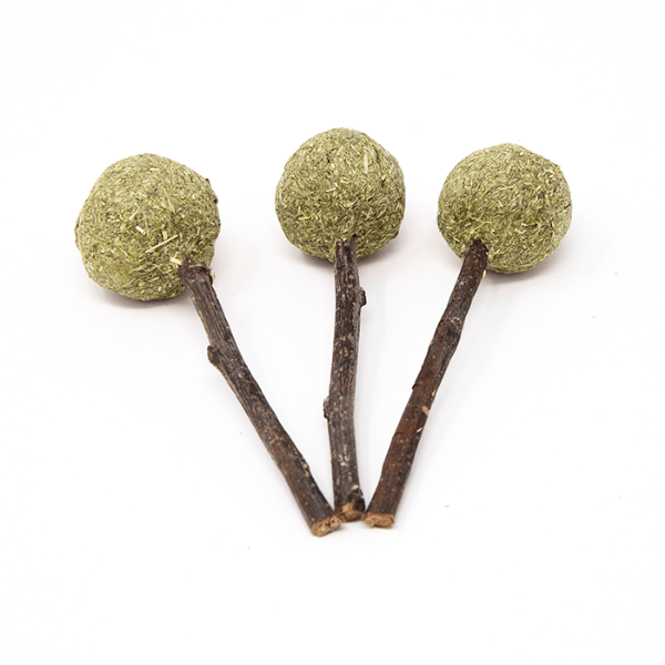 Oxbow Enriched Life - Timothy Hay and Apple Stick Chew Treats for Small Pets (Timmy Pops)