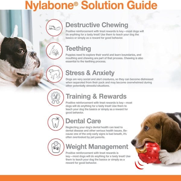 Nylabone Twin Pack of Durable Bacon & Chicken Flavored Dog Chew Toys