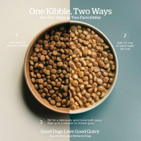 Now Fresh Premium Adult Dry Dog Food with Good Gravy Salmon Recipe