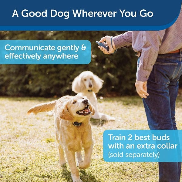 PetSafe 300 - Metre Long - Range Remote Spray Dog Training Device