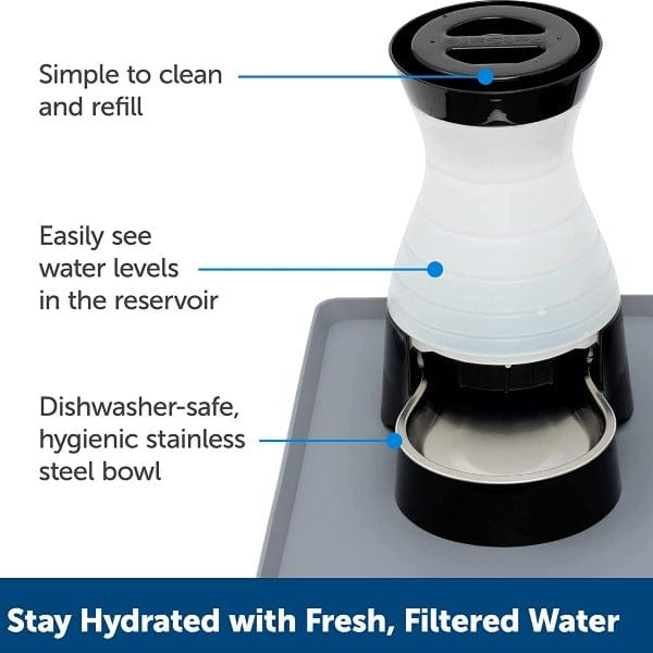 PetSafe Premium Healthy Pet Gravity Water Station for Continuous Fresh Water Supply