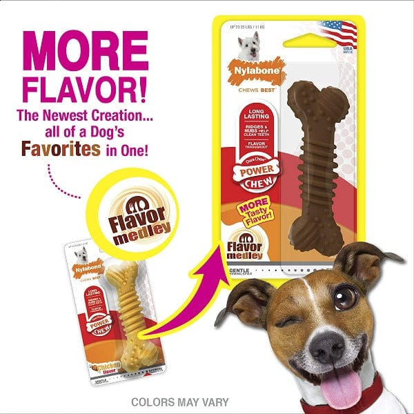 Nylabone Durable Textured Chicken-Flavored Dog Chew Bone