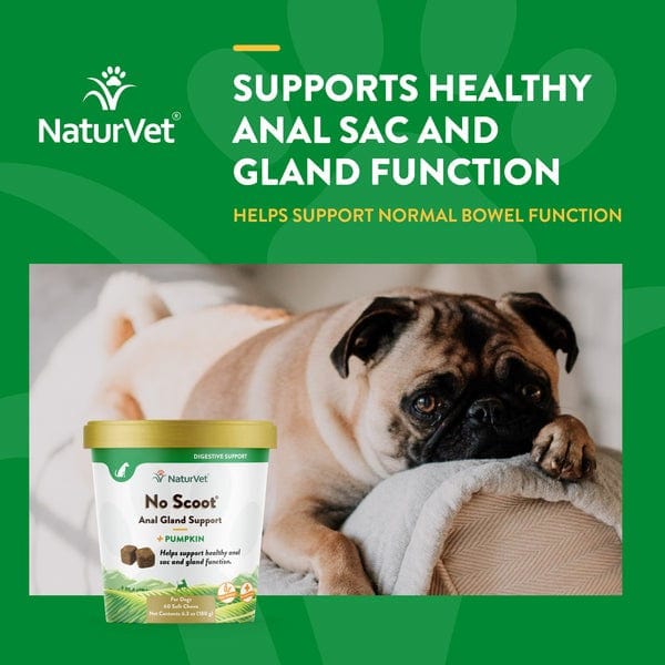 NaturVet All - Natural No Scoot Plus Pumpkin Soft Chews Dietary Supplement For Canine Health