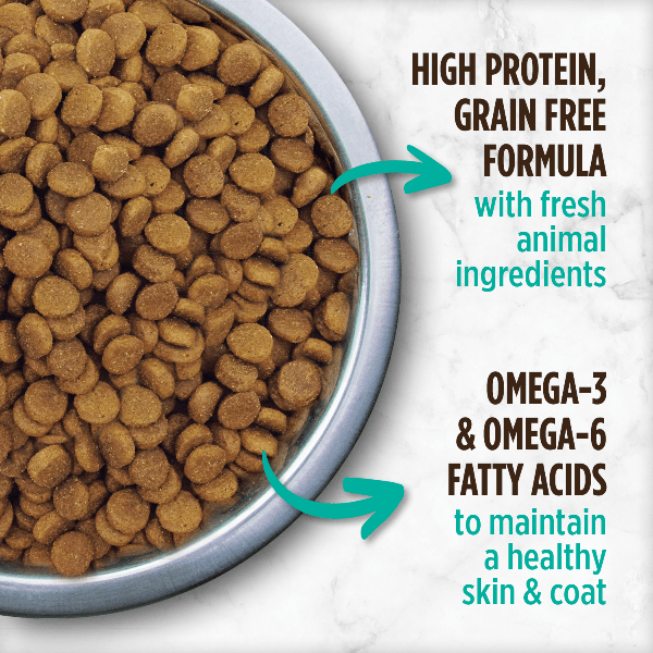 Nutrience 5kg Grain-Free Dry Cat Food with Turkey, Chicken, and Duck for Indoor Cats