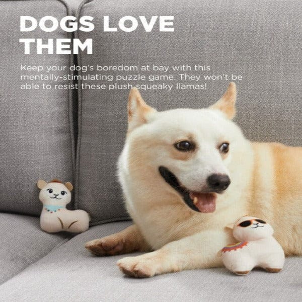 Outward Hound Interactive Plush Hide A Llama Dog Toy Puzzle for Endless Fun