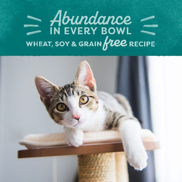 Natural Balance Original Ultra Grain-Free Indoor Dry Cat Food with Chicken Meal and Salmon Recipe for Adult Cats