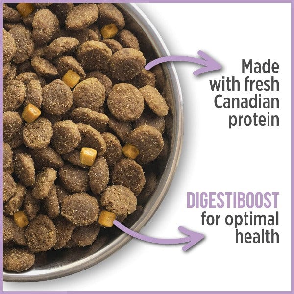 Nutrience Care Plus High - Quality Gluten - Free Dry Dog Food for Weight Management