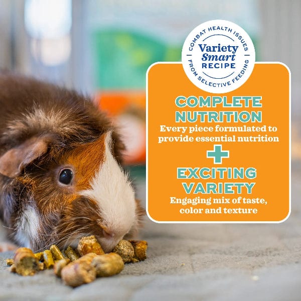 Oxbow Forage Wise Adult Guinea Pig Food - Nutritious Blend for Foraging Instincts