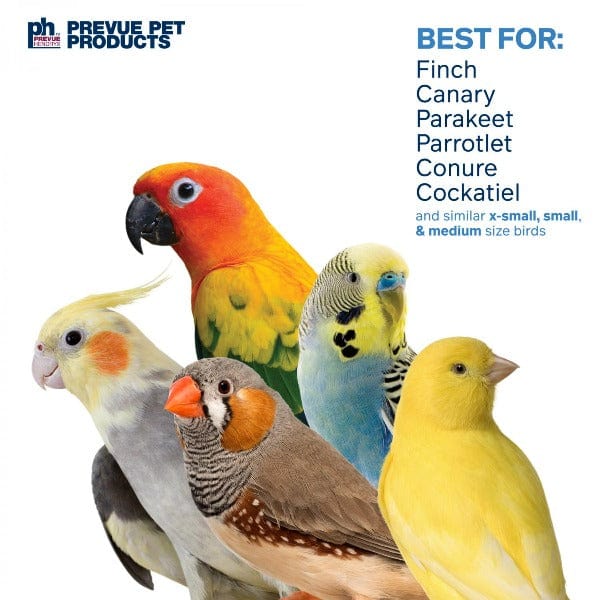 Prevue Pet Products Playfuls™ Party Popper Toy for Small to Medium Birds