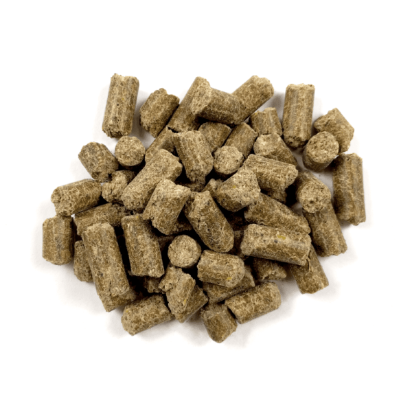 Oxbow High - Quality Essentials Food for Mice and Young Rats