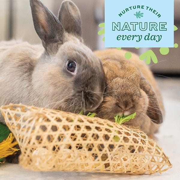 Oxbow Enriched Life - Durable Lettuce Forage Mat for Small Pets