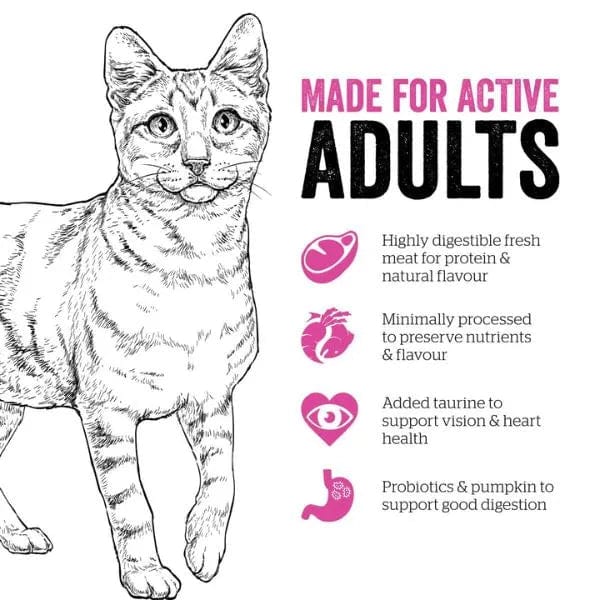 Now Fresh Adult Dry Cat Food: Turkey, Salmon & Duck Recipe