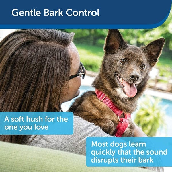 PetSafe Ultrasonic Outdoor Device to Stop Dogs from Barking