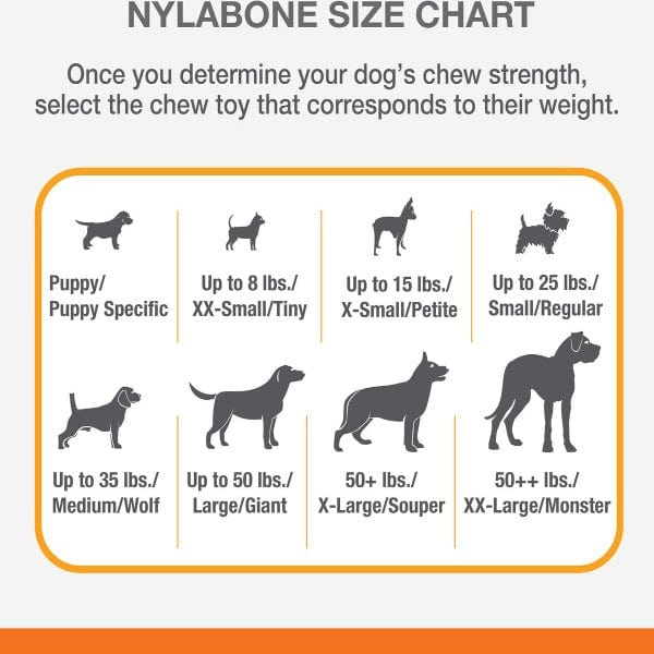 Nylabone Soft Chicken Flexichew Toy for Moderate Chewers