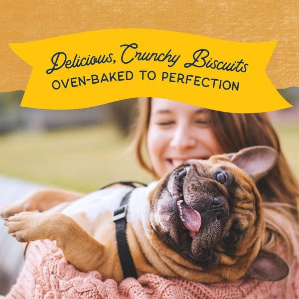 Natural Balance Oven-Baked Crunchy Dog Biscuits Featuring a Real Duck Recipe, 14 Ounce Package