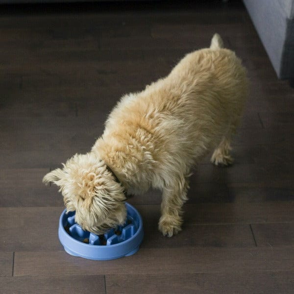 Outward Hound Innovative Fun Feeder Slo - Bowl for Slow - Eating Dogs