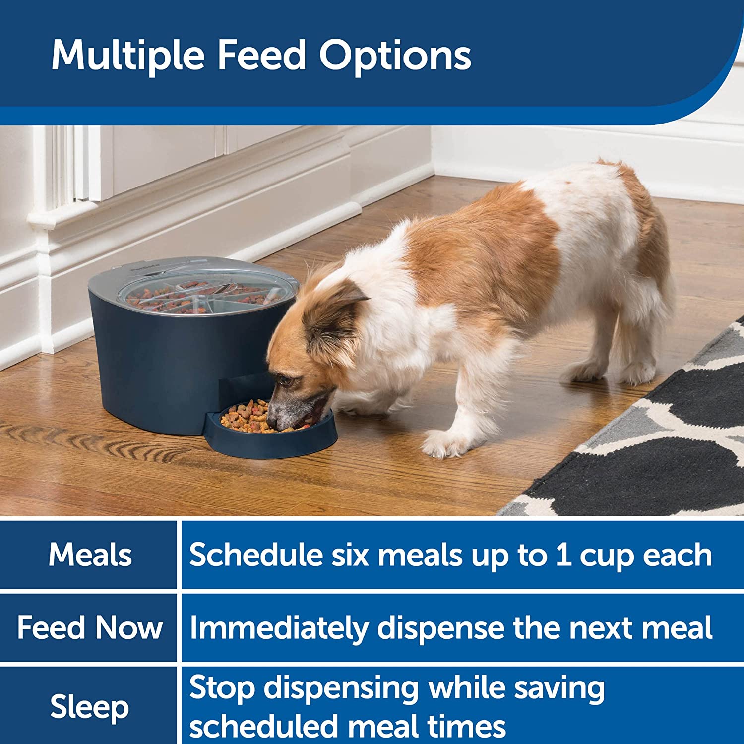 PetSafe Automatic Six - Meal Feeder for Busy Pet Owners