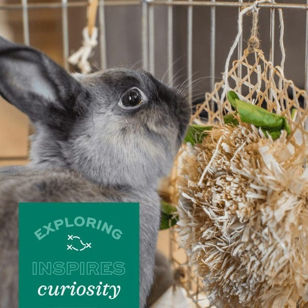 Oxbow Enriched Life Play Wall - An Ideal Enrichment Toy for Small Pets