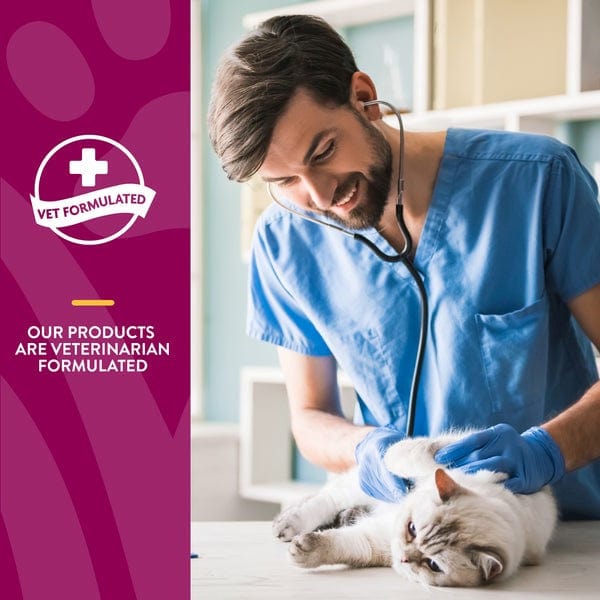 NaturVet Omega - Rich Hip & Joint Soft Chews for Feline Companions