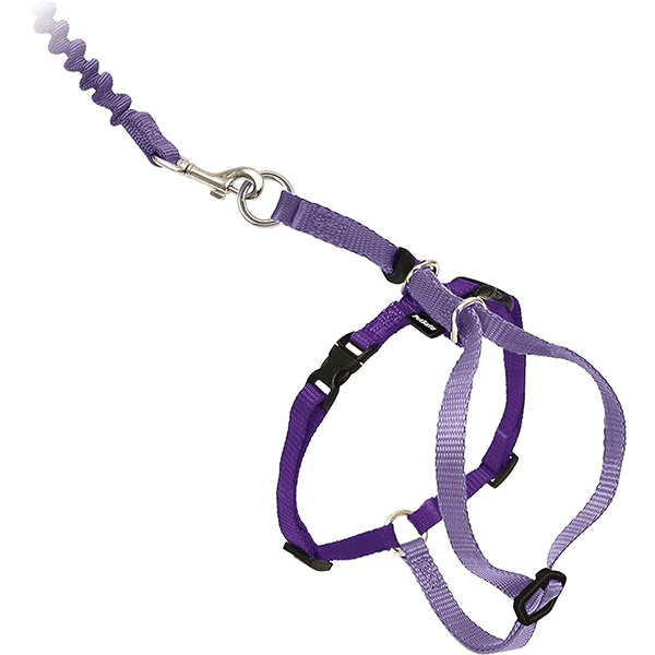 PetSafe Come With Me Cat Harness and Bungee Leash - An Ideal Walking Gear for Felines