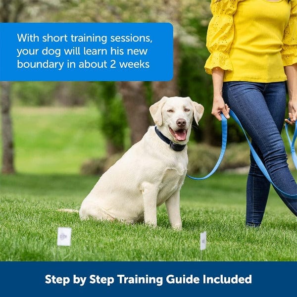 PetSafe Additional Receiver Collar for Stay + Play Wireless Fence and Wireless Pet Containment System