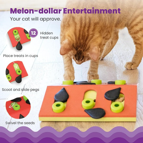 Petstages Nina Ottosson Melon Madness Interactive Puzzle Toy for Cats