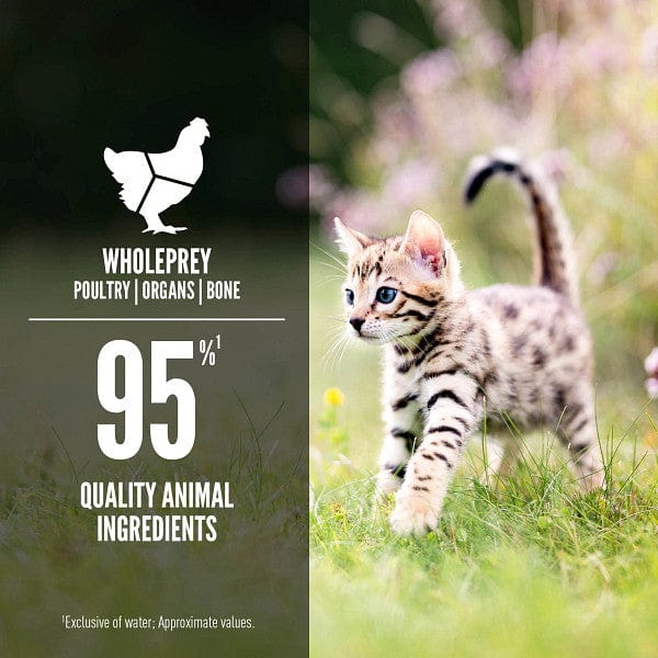Orijen Premium 3oz Canned Kitten Food with Chicken & Salmon
