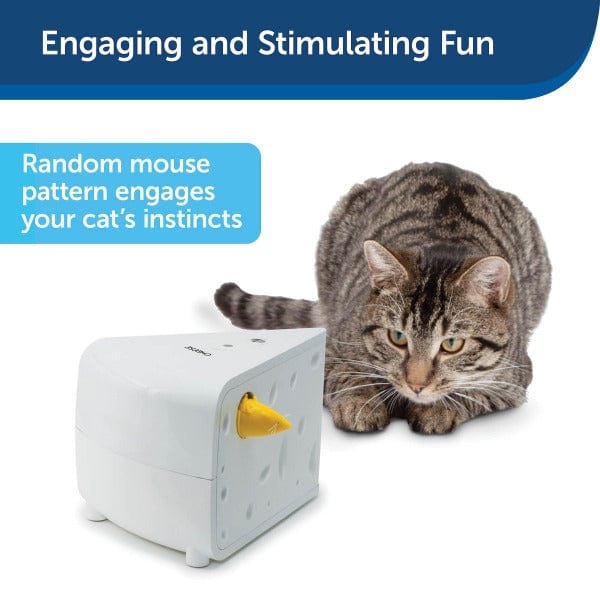 PetSafe FroliCat Interactive Automatic Cat Toy - Cheese Design for Cat Hunting Fun