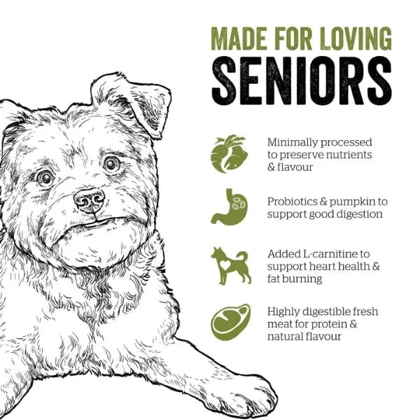 Now Fresh Premium Small Breed Senior Dry Dog Food with Turkey, Salmon, and Duck Recipe