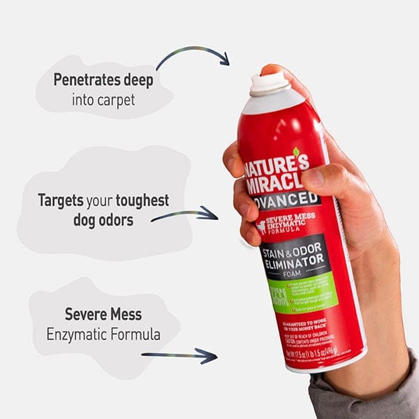 Nature's Miracle Premium Advanced Dog Stain and Odor Eliminating Foam Cleaner
