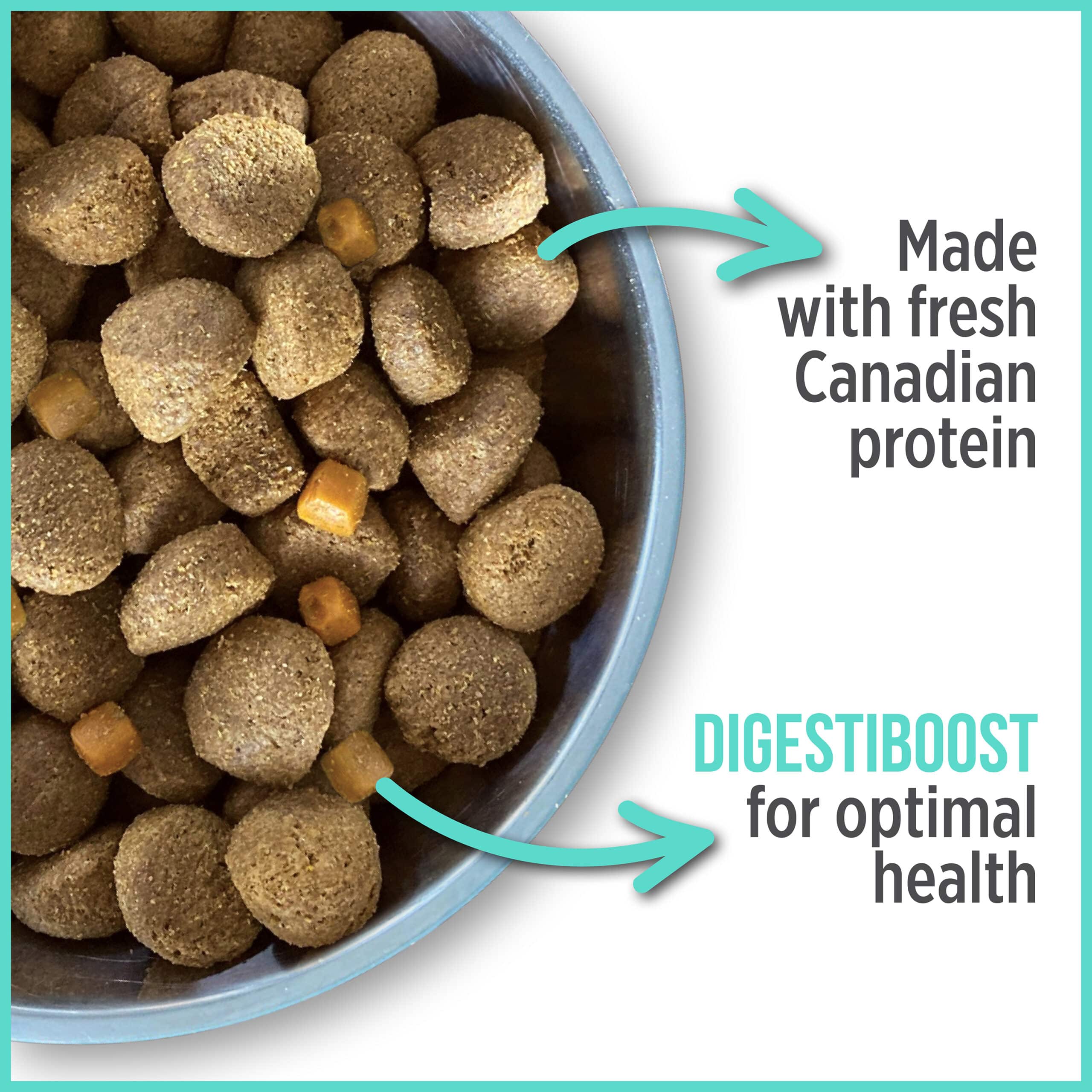Nutrience Care+ Premium Dry Dog Food for Optimal Oral Health