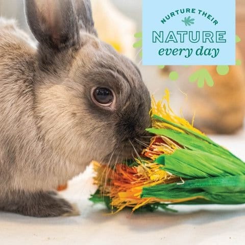 Oxbow Enriched Life - Apple Stick Crinkle Barrel for Small Pets