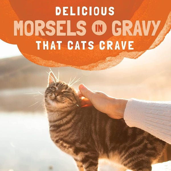 Natural Balance Platefulls Gravy Morsels Cat Food Pouch with Turkey, Chicken & Duck