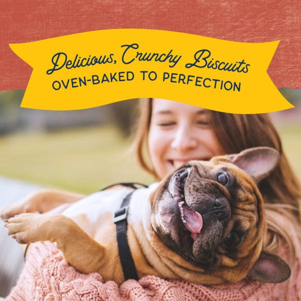 14oz Natural Balance Dog Treats: Crunchy Biscuits with Real Salmon Recipe