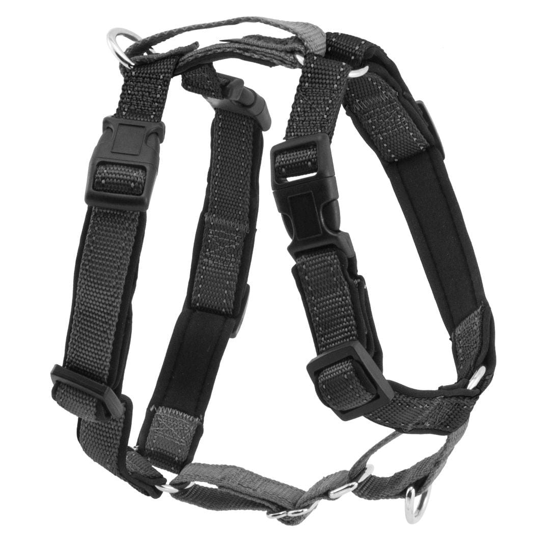 PetSafe All - in - One Multi - Functional Harness and Car Restraint for Dogs