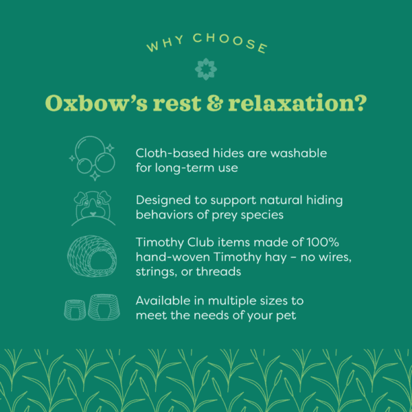 Oxbow Timothy Club Timothy Tunnel - An Ideal Edible Accessory for Small Pets
