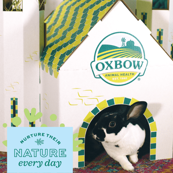 Oxbow Enriched Life - Cozy Hideaway Dream Cottage for Small Pets