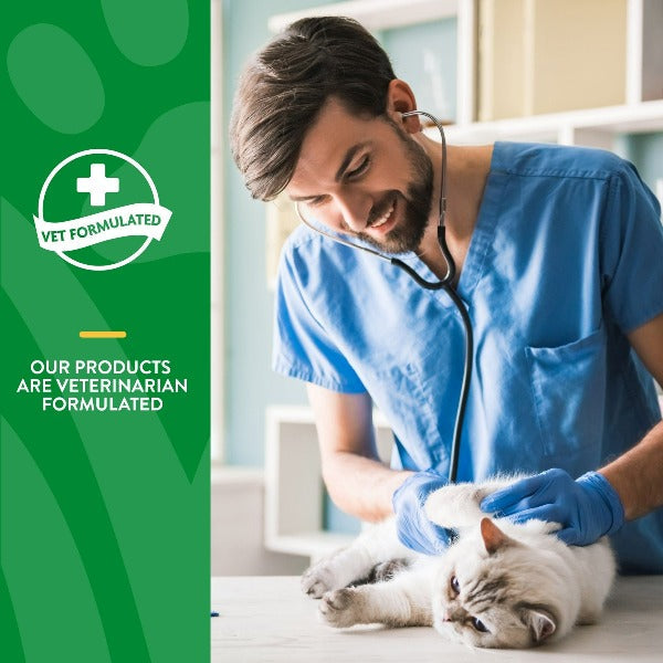 NaturVet Premium Digestive Enzymes Soft Chews with Prebiotics and Probiotics for Feline Companions